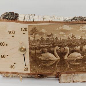Joutsenet suolammella saunamittari